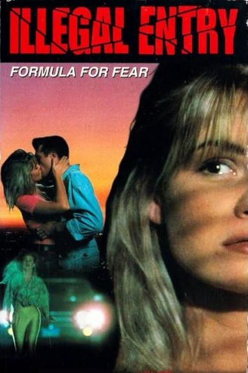 Illegal Entry: Formula for Fear 1993 official movie poster