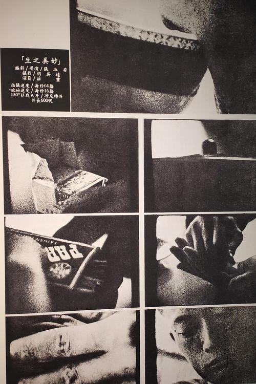 The Joy of Life 1967 official movie poster