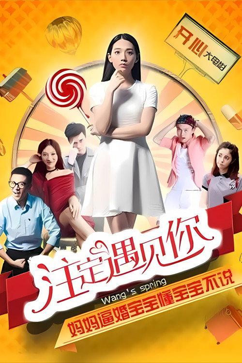 Wang's Spring 2016 official movie poster