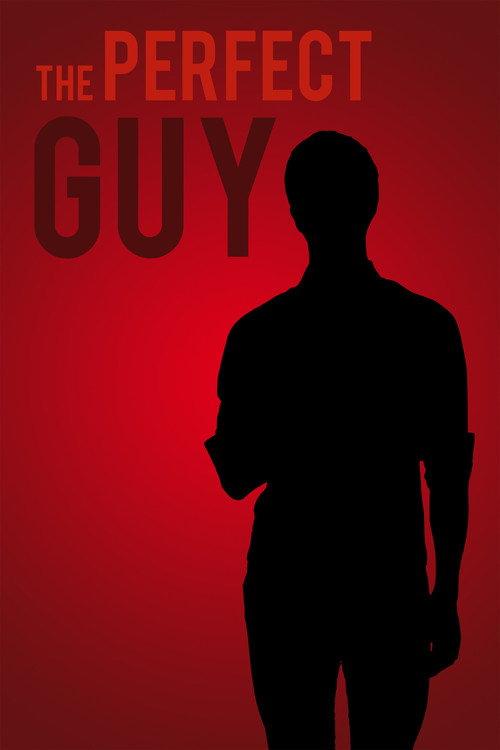The Perfect Guy 2017 official movie poster