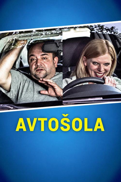 Driving School 2014 official movie poster