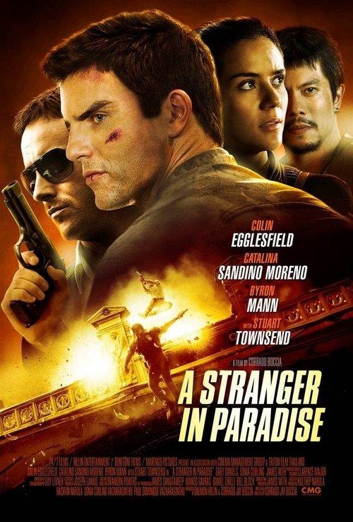 A Stranger in Paradise 2013 official movie poster