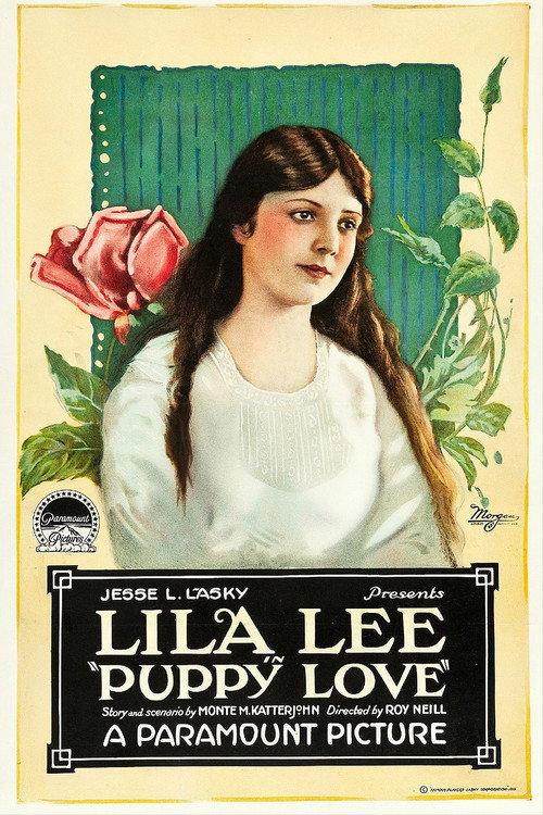 Puppy Love 1919 official movie poster
