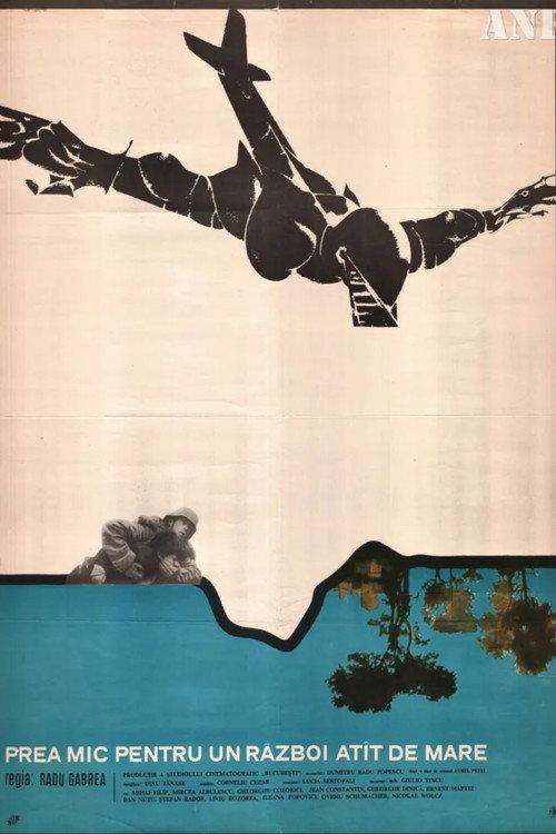 Too Little for Such a Big War 1970 official movie poster