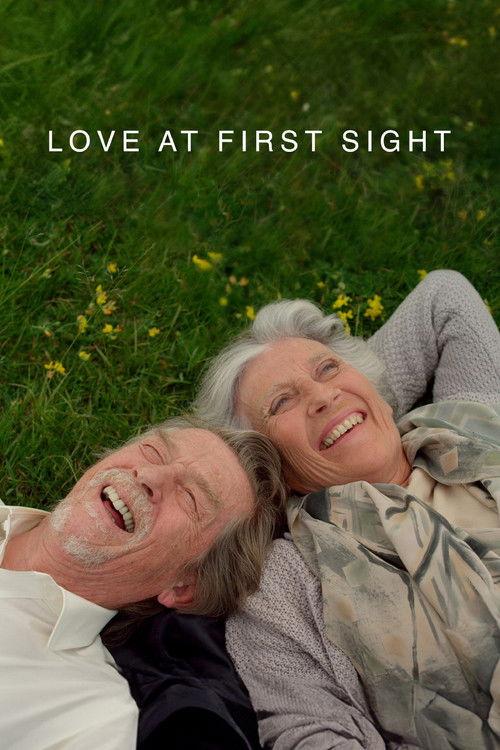 Love at First Sight 2010 official movie poster