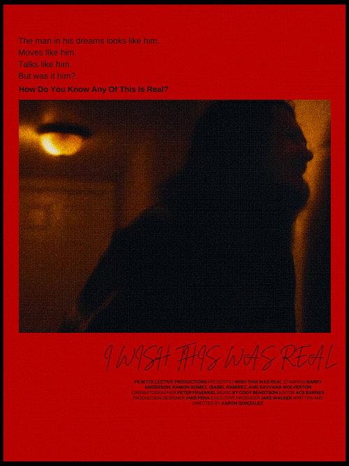 I Wish This Was Real 2026 official movie poster