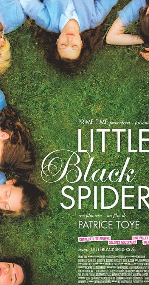 Little Black Spiders 2012 official movie poster