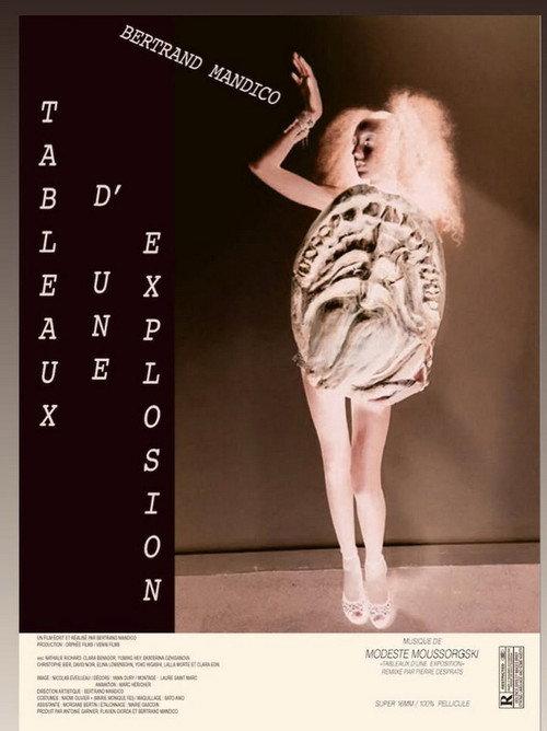 Tableaux d'une explosion 2026 official movie poster