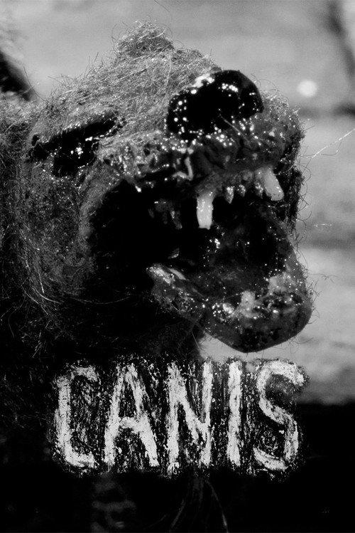 Canis 2013 official movie poster