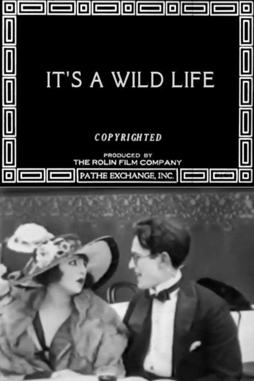 It's a Wild Life 1918 official movie poster