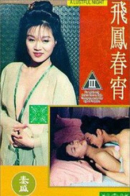 A Lustful Night 1993 official movie poster