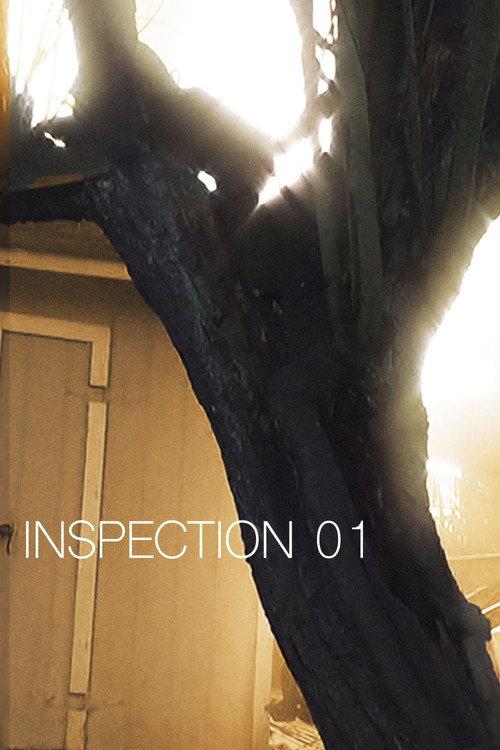 Inspection 01 2025 official movie poster