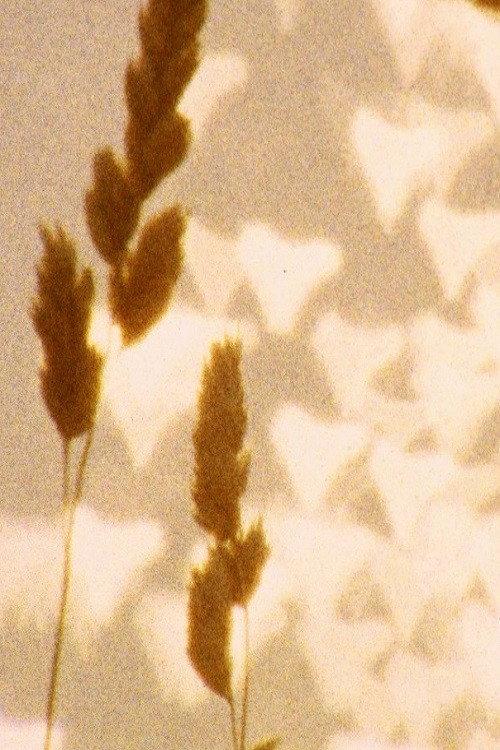 untitled (august) 2016 official movie poster