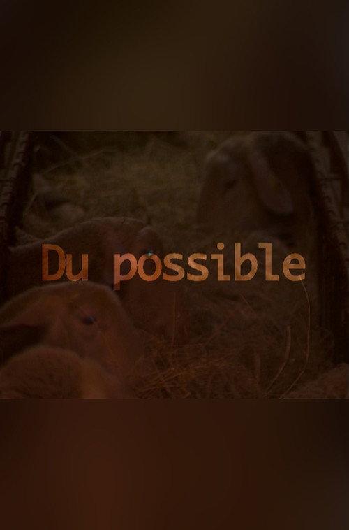 Du possible 2006 official movie poster