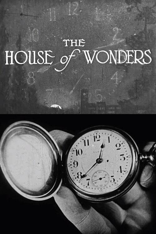 The House of Wonders 1931 official movie poster