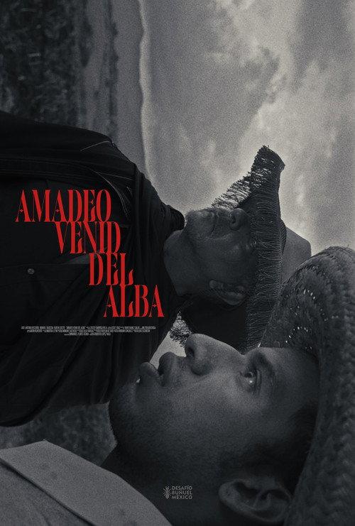 Amadeo Venid del Alba  official movie poster