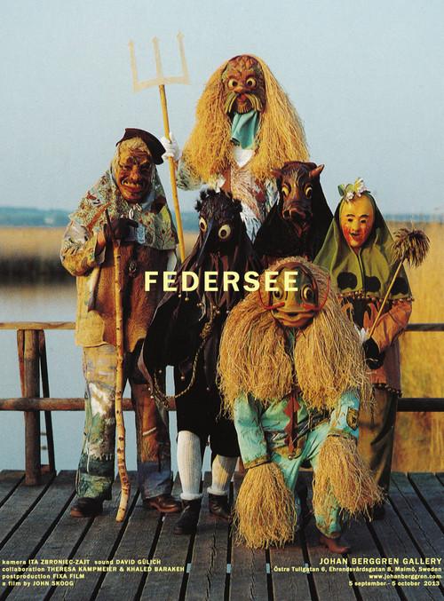 Federsee 2013 official movie poster