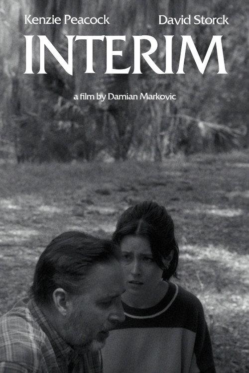 Interim 2026 official movie poster