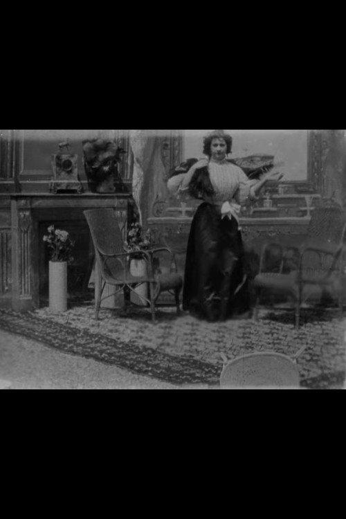 A Victorian Lady in Her Boudoir 1896 official movie poster