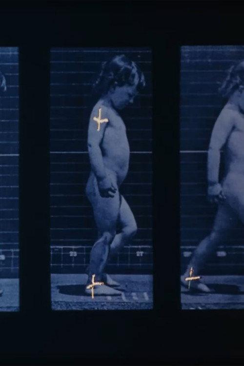 Muybridge 1991 official movie poster