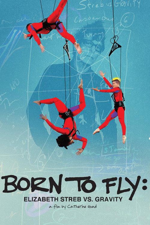 Born to Fly: Elizabeth Streb vs. Gravity 2014 official movie poster