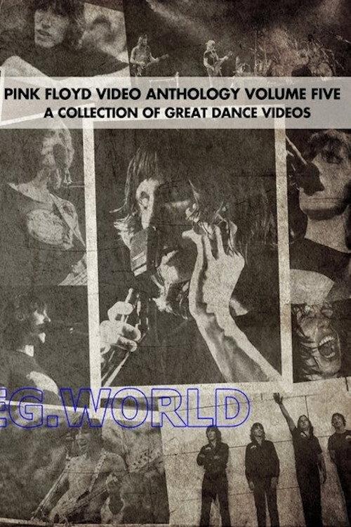 Pink Floyd: Video Anthology Vol. 5 2004 official movie poster