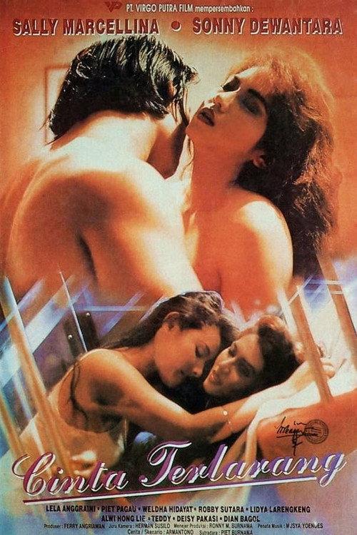 Forbidden Love 1995 official movie poster