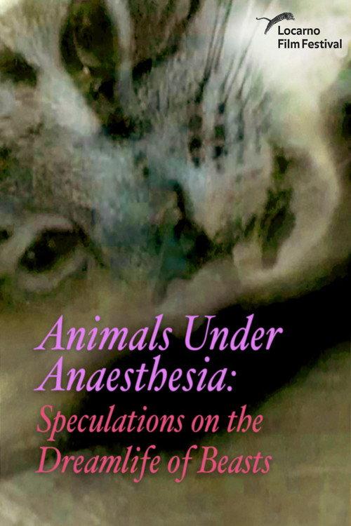 Animals Under Anaesthesia: Speculations on the Dreamlife of Beasts 2017 official movie poster