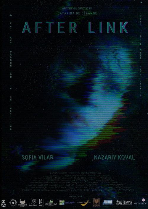 After Link 2024 official movie poster