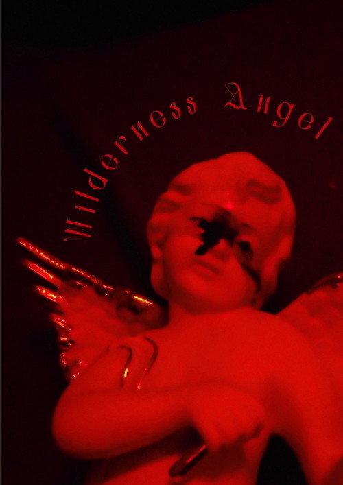 Wilderness Angel 2026 official movie poster
