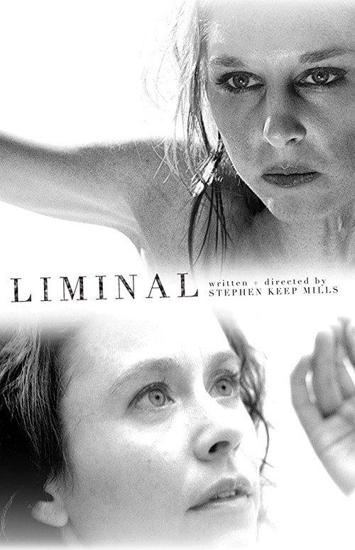 Liminal 2008 official movie poster