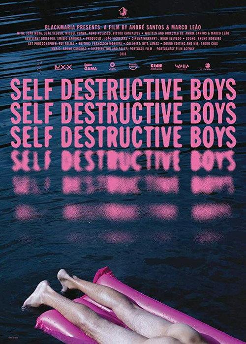 Self Destructive Boys 2018 official movie poster
