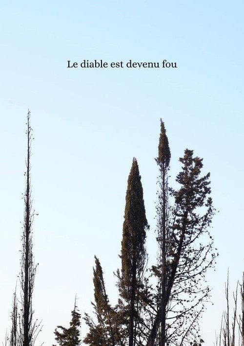 Le diable est devenu fou 2026 official movie poster