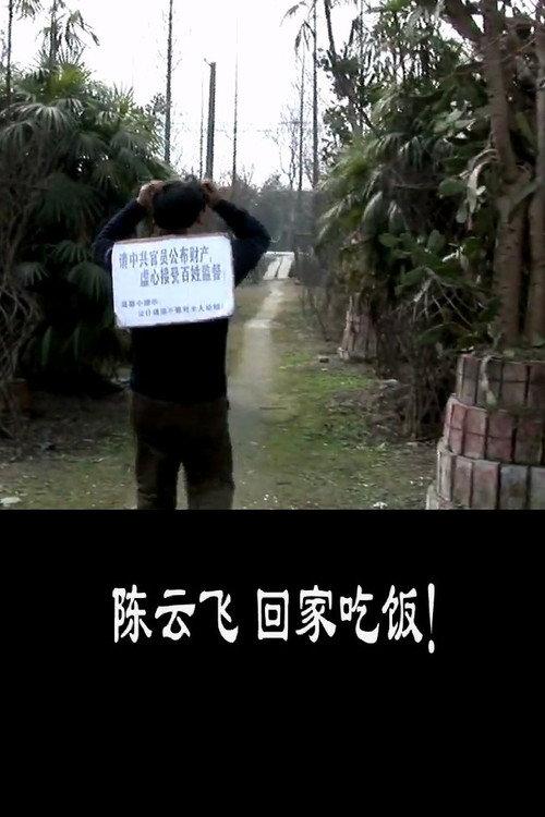 GO HOME, CHEN YUNFEI 2010 official movie poster