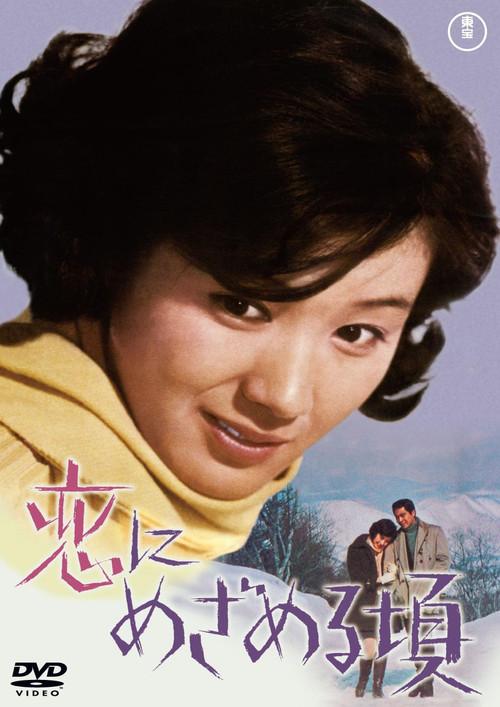 When Love Awakens 1969 official movie poster