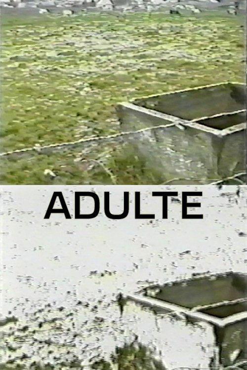Adulte 1998 official movie poster