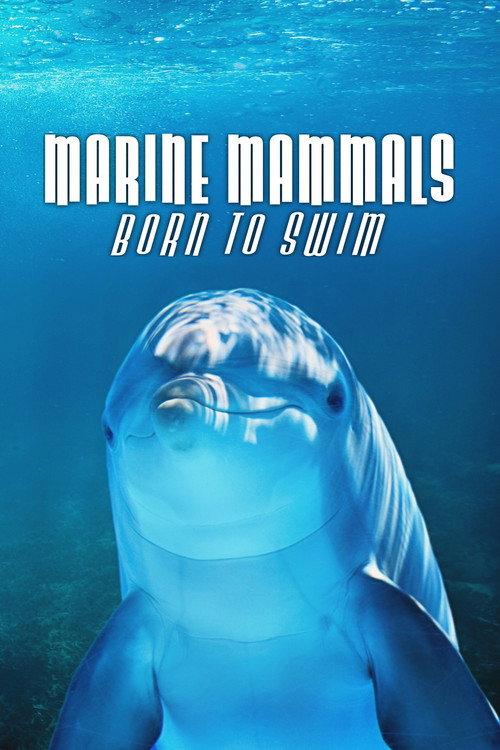 Marine Mammals - Born to Swim  official movie poster