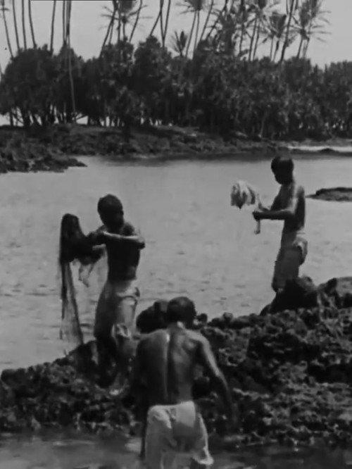 Kanaka Fishermen Casting the Throw Net, Hilo, H.I. 1906 official movie poster
