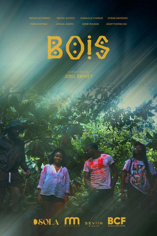 Bois 2026 official movie poster