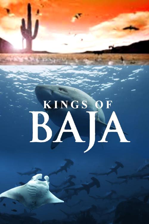 Kings of Baja 2014 official movie poster