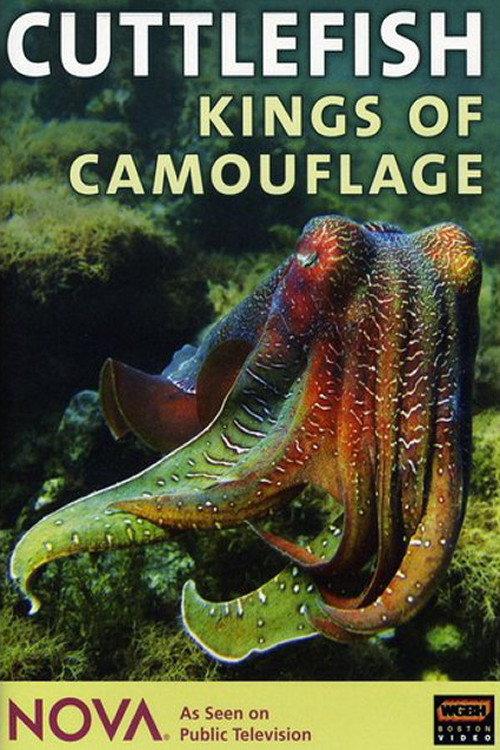 Cuttlefish: Kings of Camouflage 1997 official movie poster