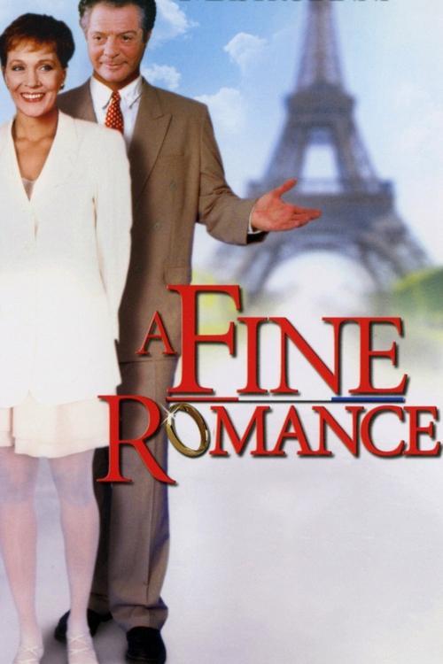A Fine Romance 1991 official movie poster