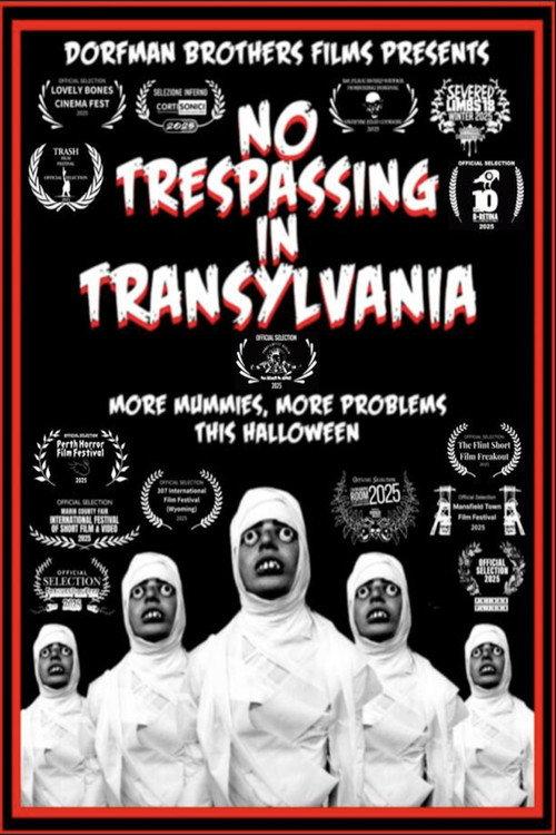 No Trespassing In Transylvania 2025 official movie poster