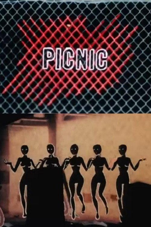Picnic 1988 official movie poster