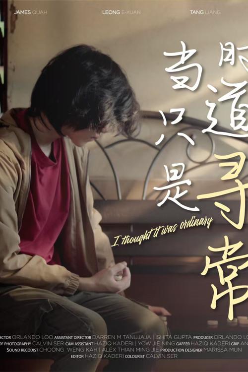 I Thought It Was Ordinary 2025 official movie poster