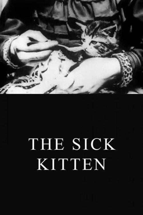 The Sick Kitten 1903 official movie poster