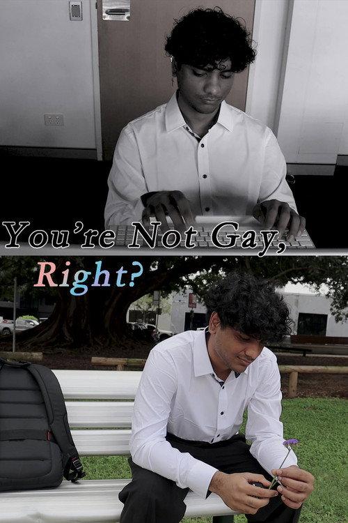 You're Not Gay, Right? 2024 official movie poster