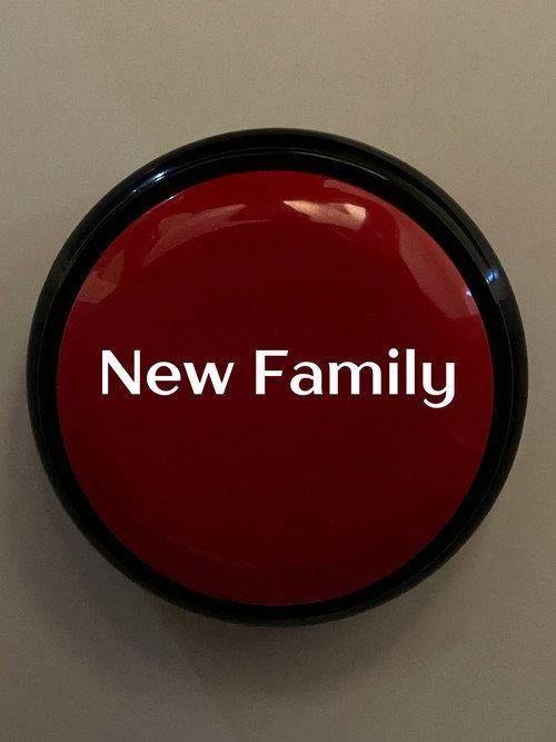 New Family 2024 official movie poster