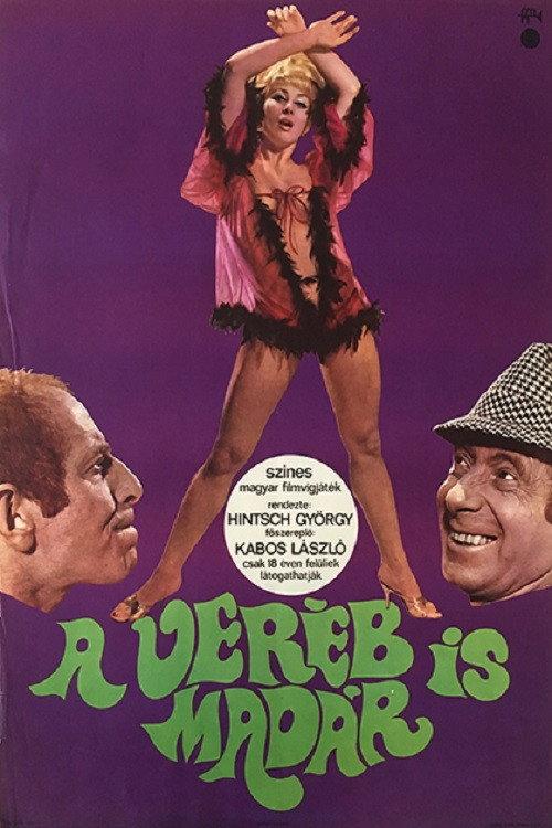 Sparrows Are Birds Too 1968 official movie poster