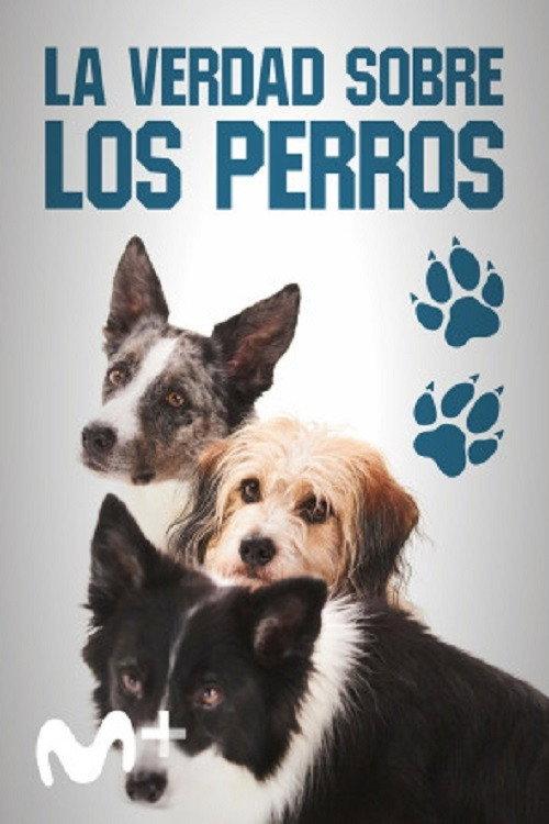 Dog Tales 2020 official movie poster